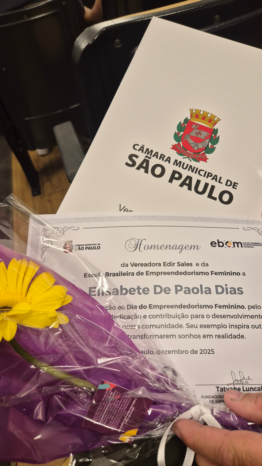 Certificado de Homenagem da Câmara Municipal de São Paulo