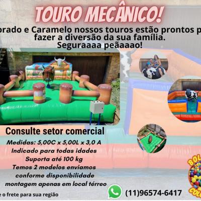 Touro Mecânico