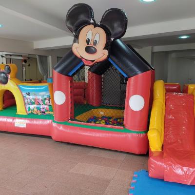 Parque Do Mickey 01