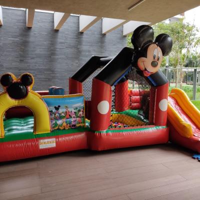 Parque Do Mickey 03