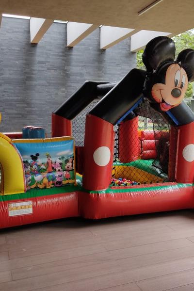 Parque Do Mickey