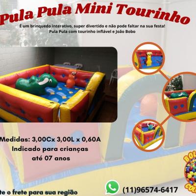 Pula Pula Mini Tourinho