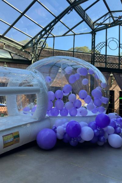 Brinquedo Inflavel Clean Bubble Jump House