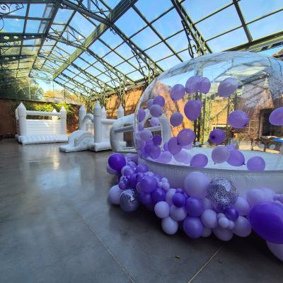 Brinquedo Inflavel Clean Bubble Jump House